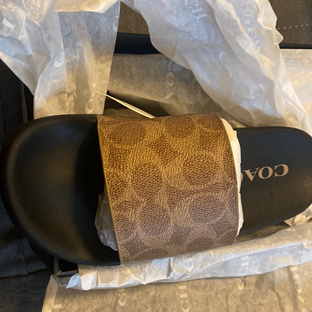 Brand new coach slides